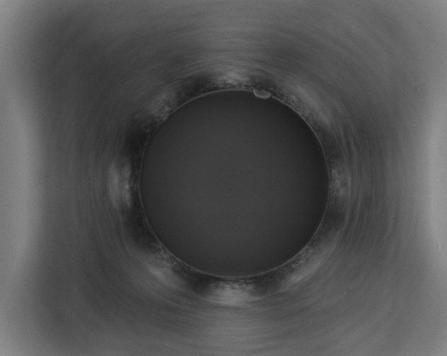 X0000112910223200908311243