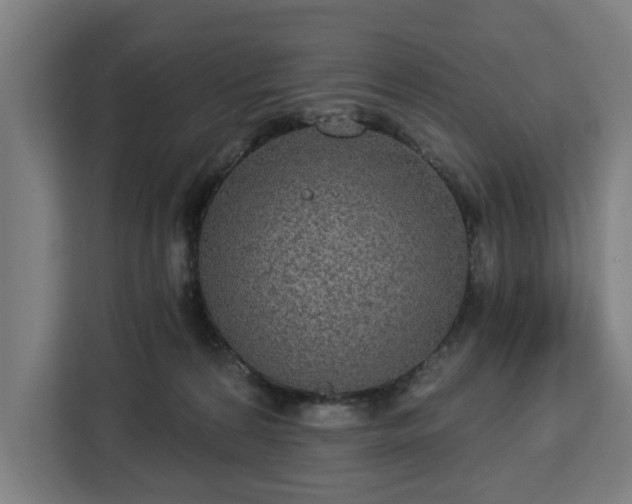 X0000112910224200908311243