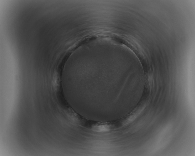 X0000112910228200908311243