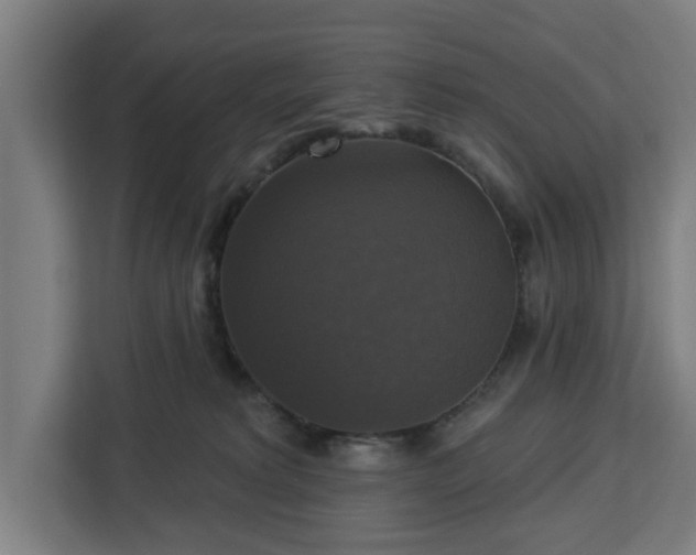 X0000112910229200908311243