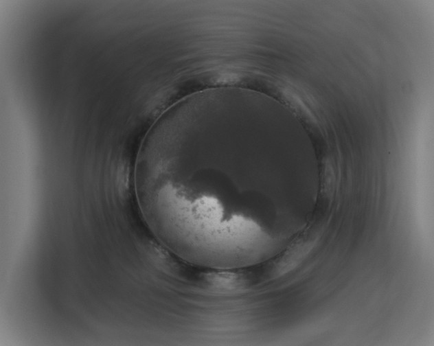 X0000112910230200908311243