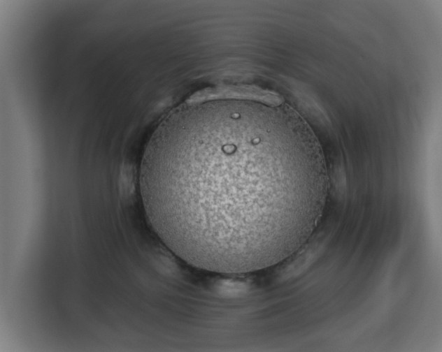 X0000112910232200908311243