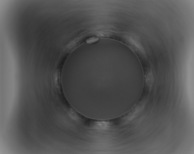 X0000112910233200908311243