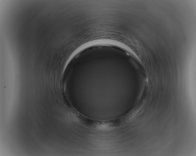 X0000112910235200908311243