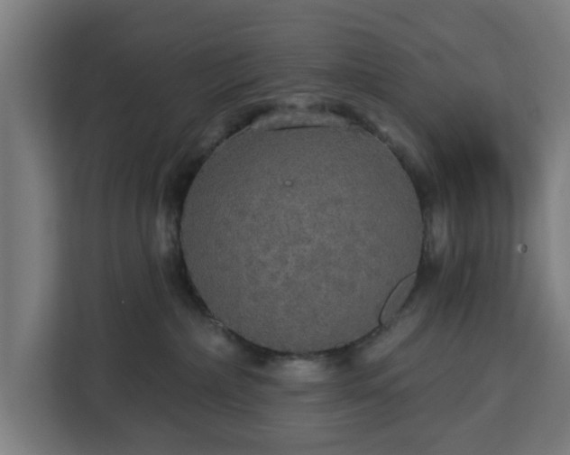 X0000112910236200908311243