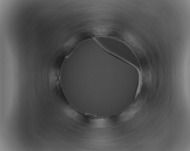 X0000112910237200908311243