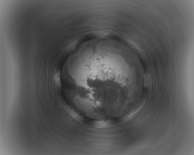 X0000112910238200908311243