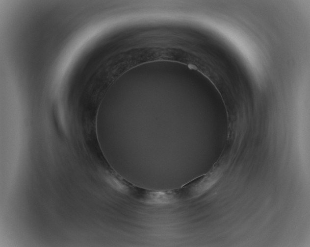 X0000112910239200908311243