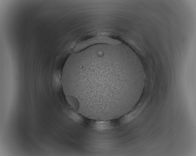 X0000112910240200908311243