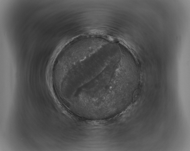 X0000112910241200908311243