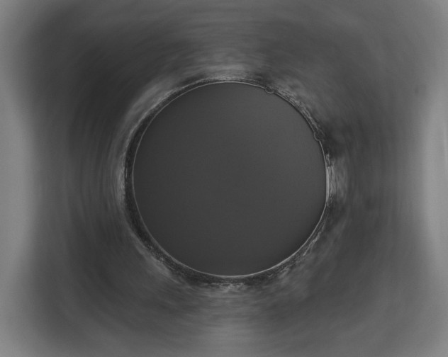 X0000112910243200908311243