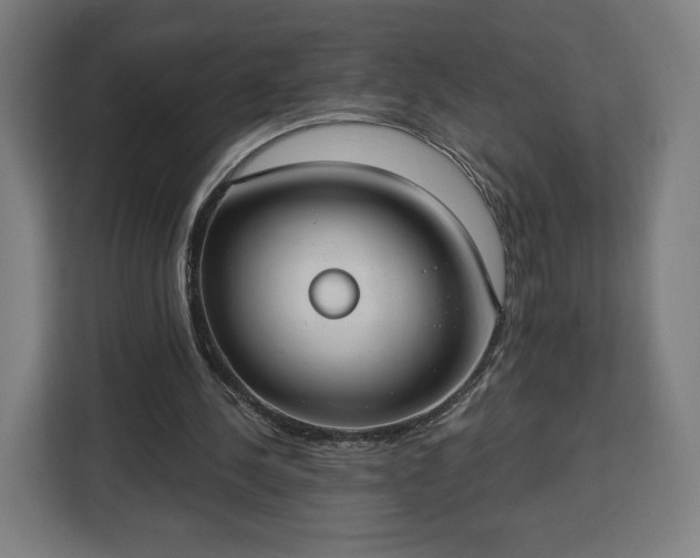 X0000112910244200908311243