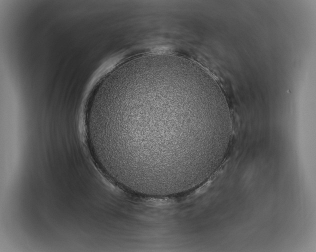 X0000112910245200908311243