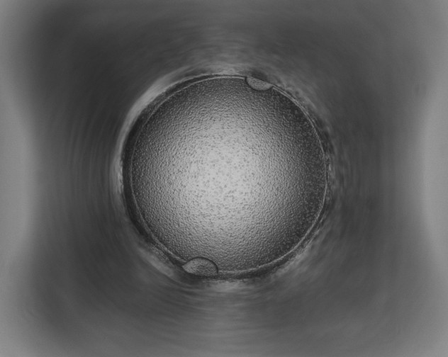 X0000112910246200908311243