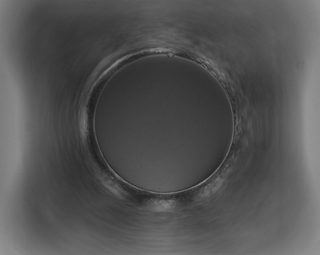 X0000112910247200908311243