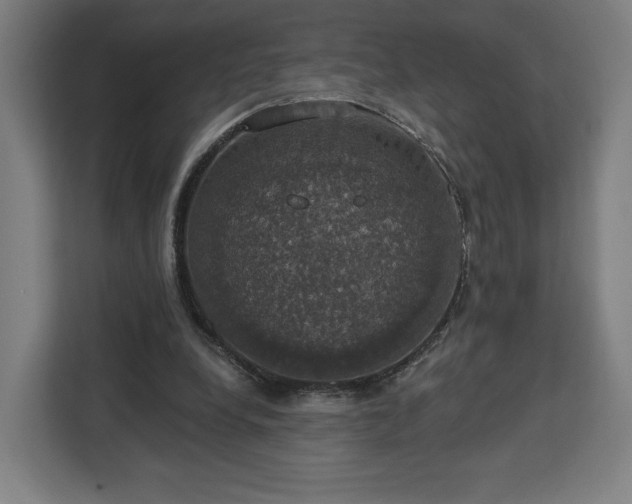 X0000112910248200908311243