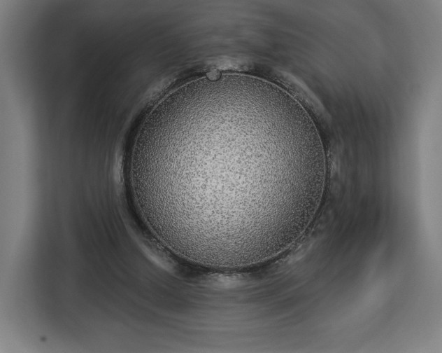 X0000112910250200908311243