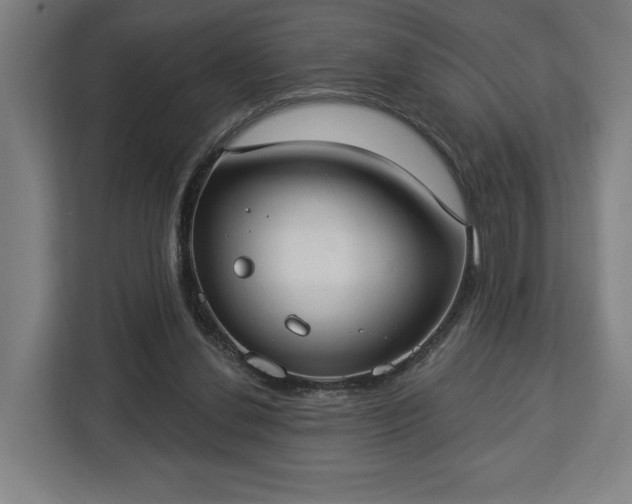 X0000112910252200908311243