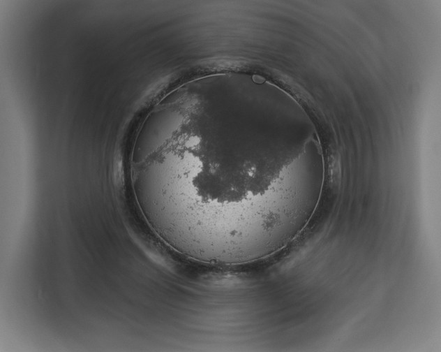 X0000112910254200908311243