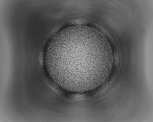 X0000112910255200908311243