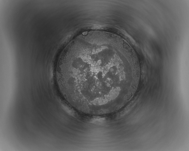 X0000112910257200908311243