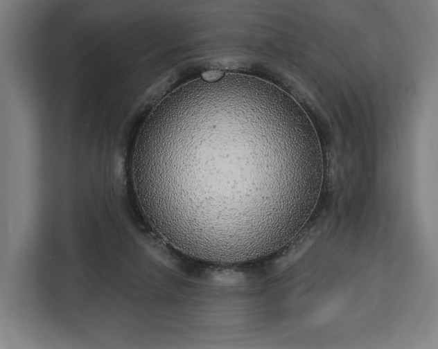 X0000112910258200908311243