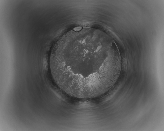 X0000112910259200908311243