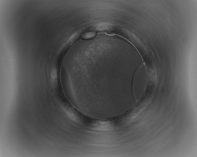 X0000112910260200908311243