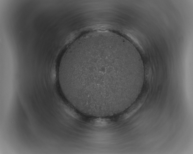 X0000112910261200908311243