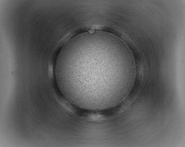 X0000112910262200908311243