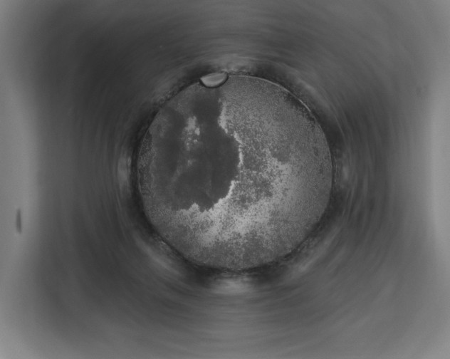 X0000112910263200908311243