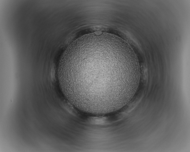 X0000112910266200908311243