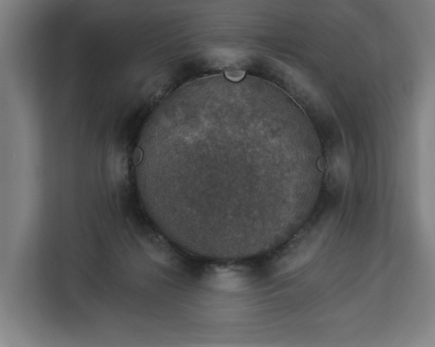 X0000112910268200908311243