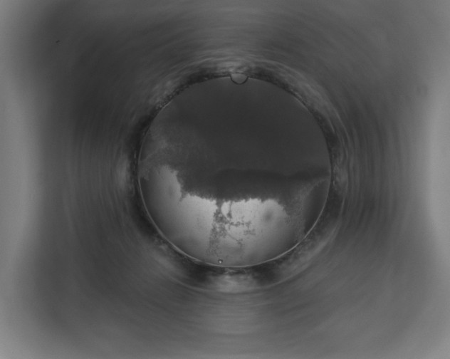 X0000112910270200908311243