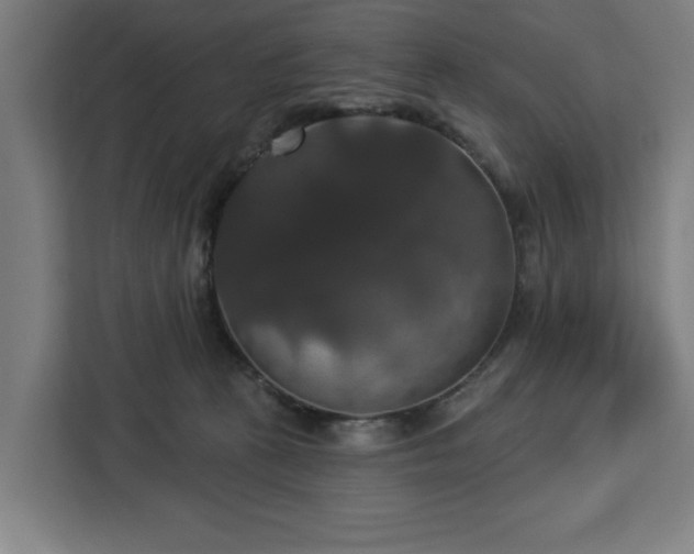 X0000112910273200908311243