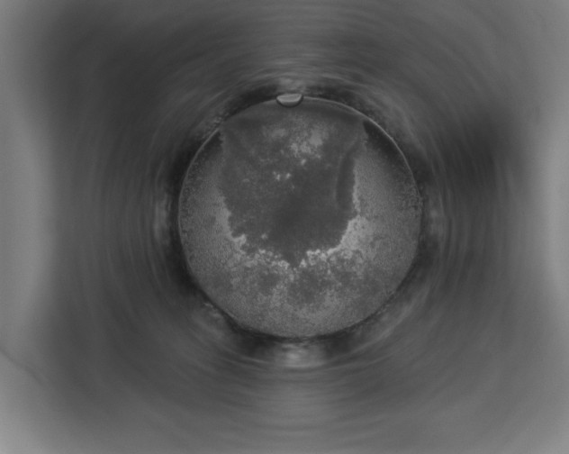 X0000112910275200908311243