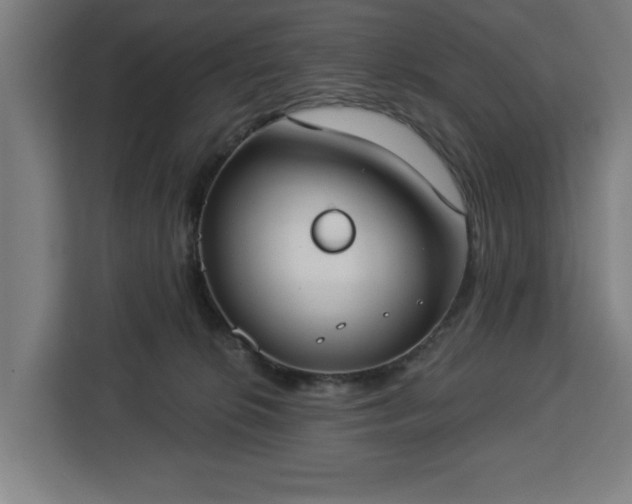 X0000112910276200908311243