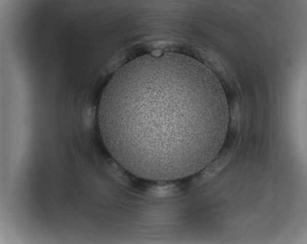 X0000112910278200908311243