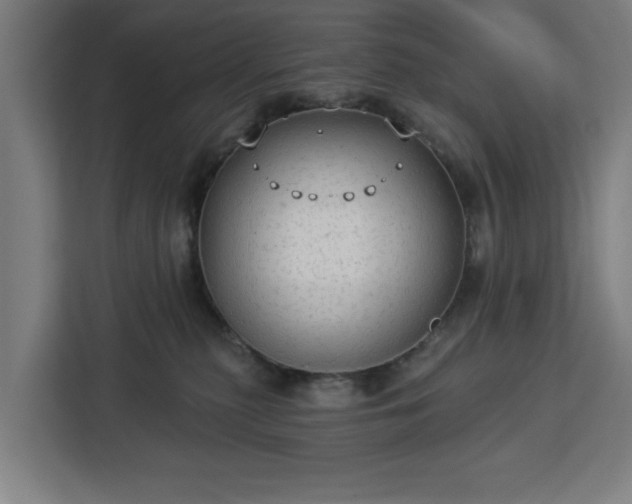 X0000112910279200908311243