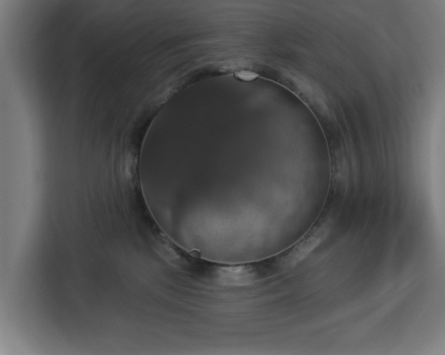 X0000112910281200908311243