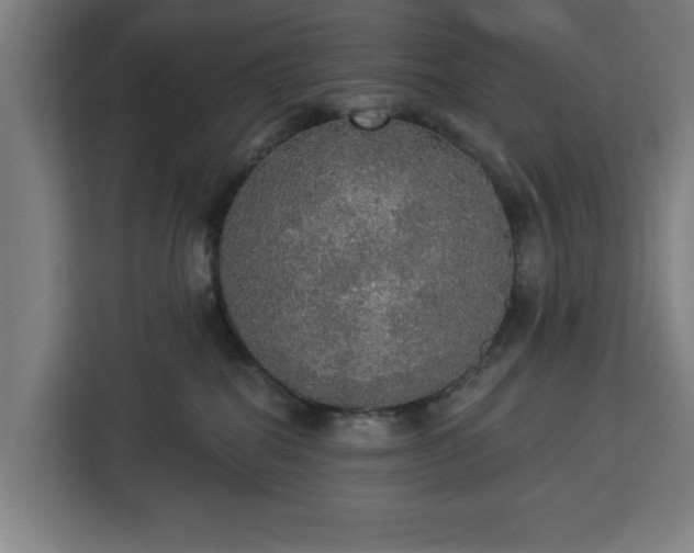 X0000112910282200908311243