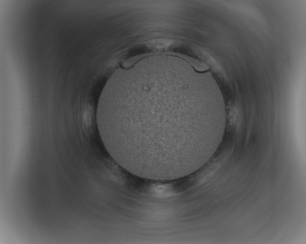 X0000112910283200908311243