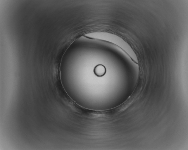 X0000112910284200908311243