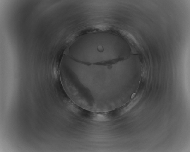 X0000112910285200908311243