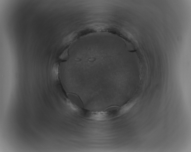 X0000112910288200908311243