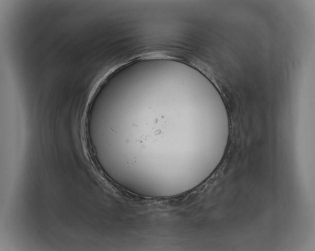 X0000112910289200908311243