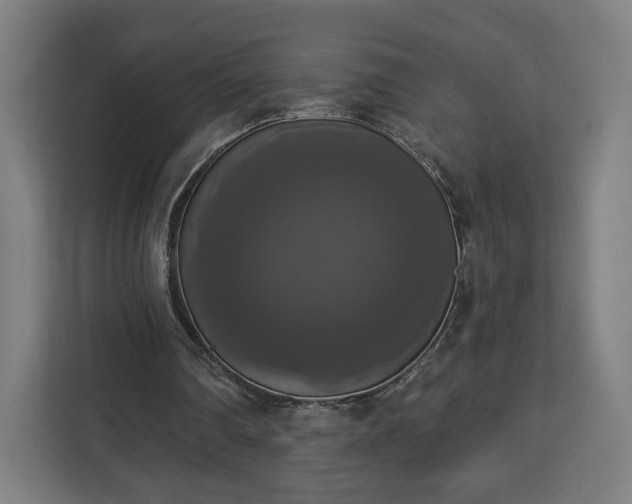 X0000112910290200908311243