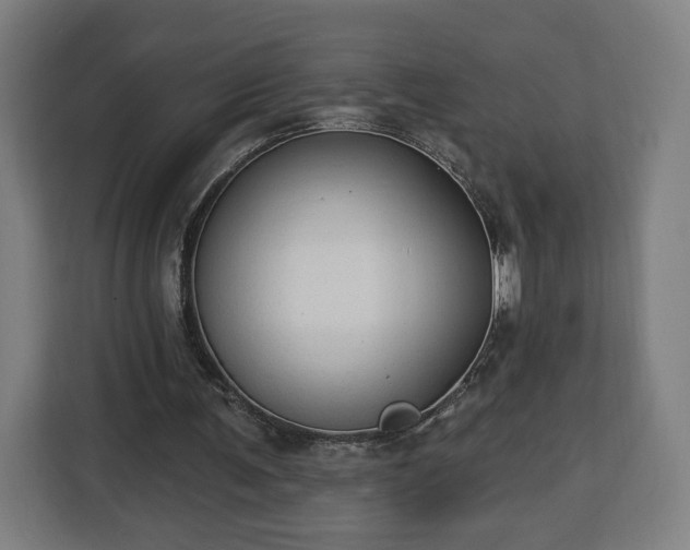 X0000112910291200908311243