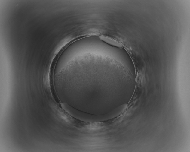 X0000112910292200908311243