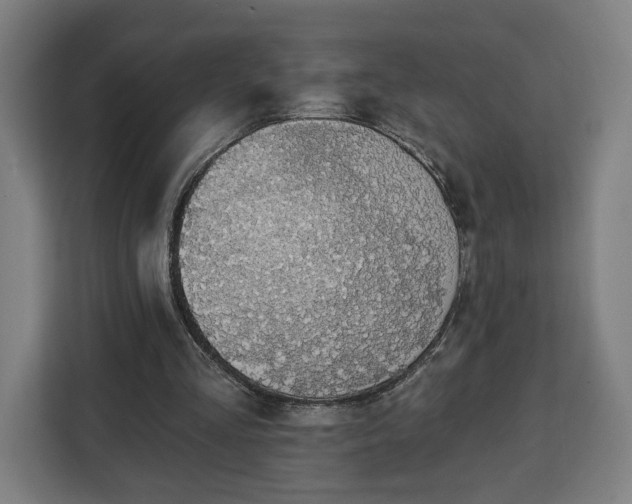 X0000112910293200908311243